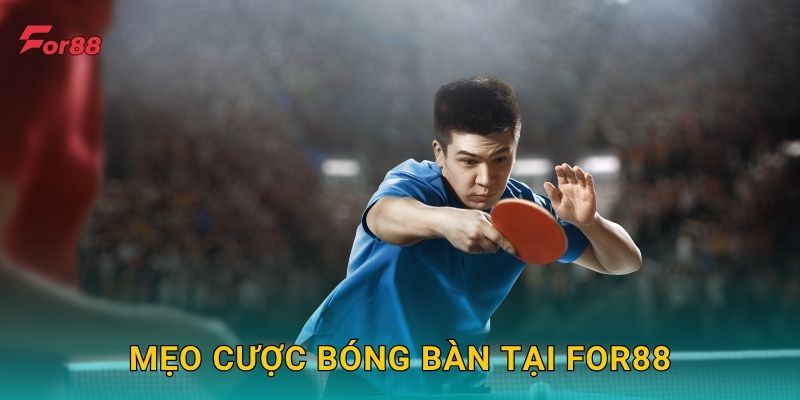 Mẹo cược Bóng Bàn tại For88